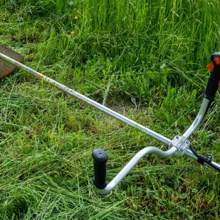 Debroussaillage d'un terrain particulier à Montpellier