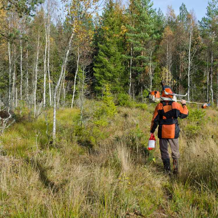 debroussaillage forestier a montpellier