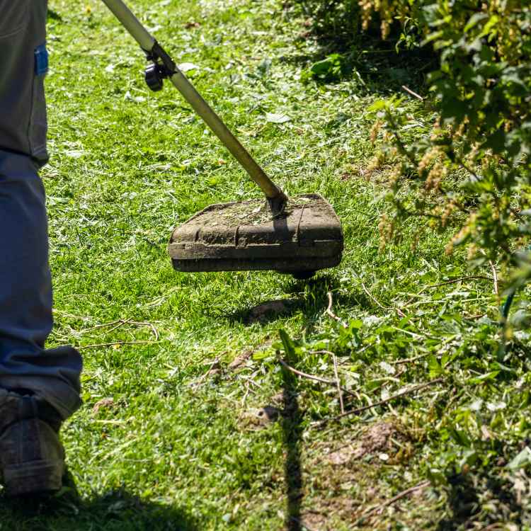 debroussaillement parcelle jardin montpellier