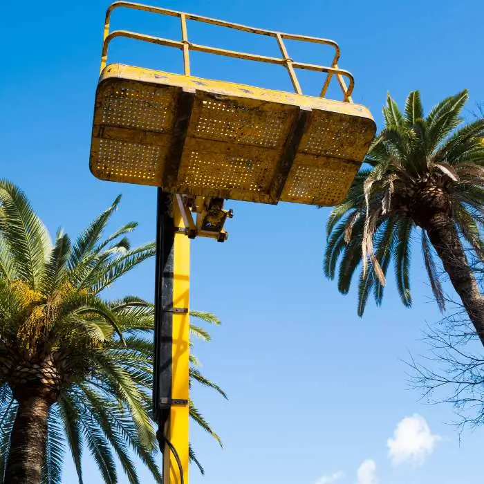 expert en elagage d'arbre et palmier à Castelnau le Lez